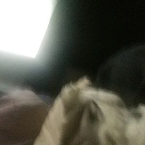 Meet your Posher, Joel